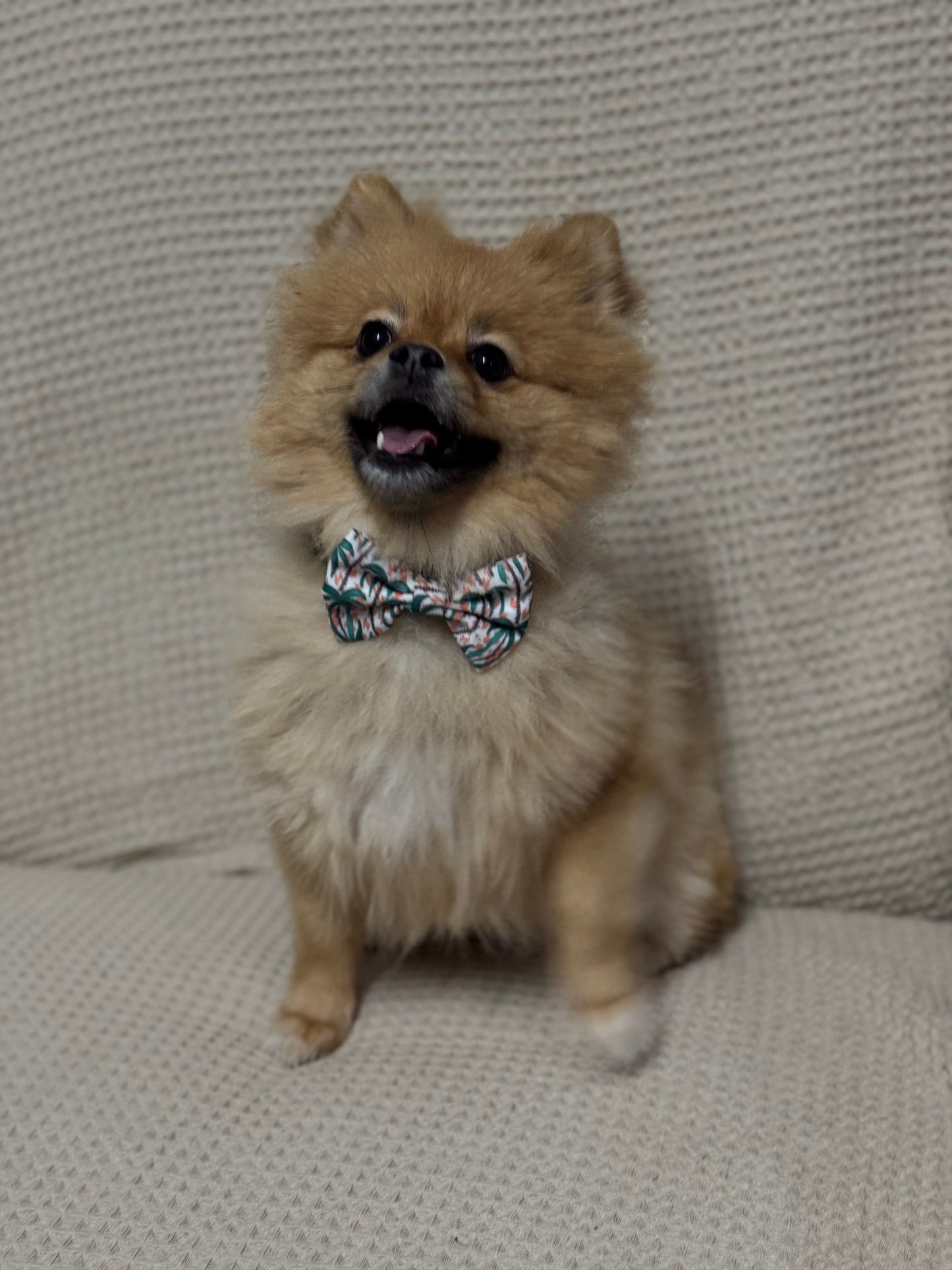 Hawaii Bow tie