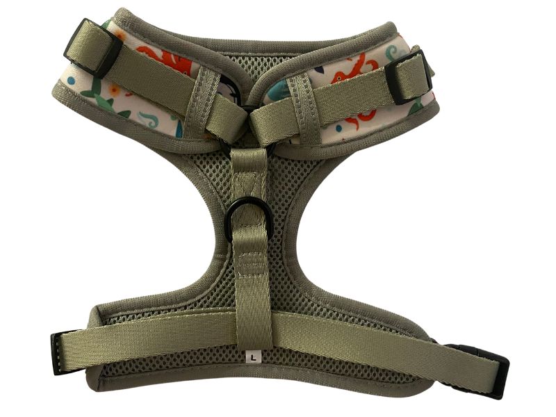 Under the sea: Adjustable Harness