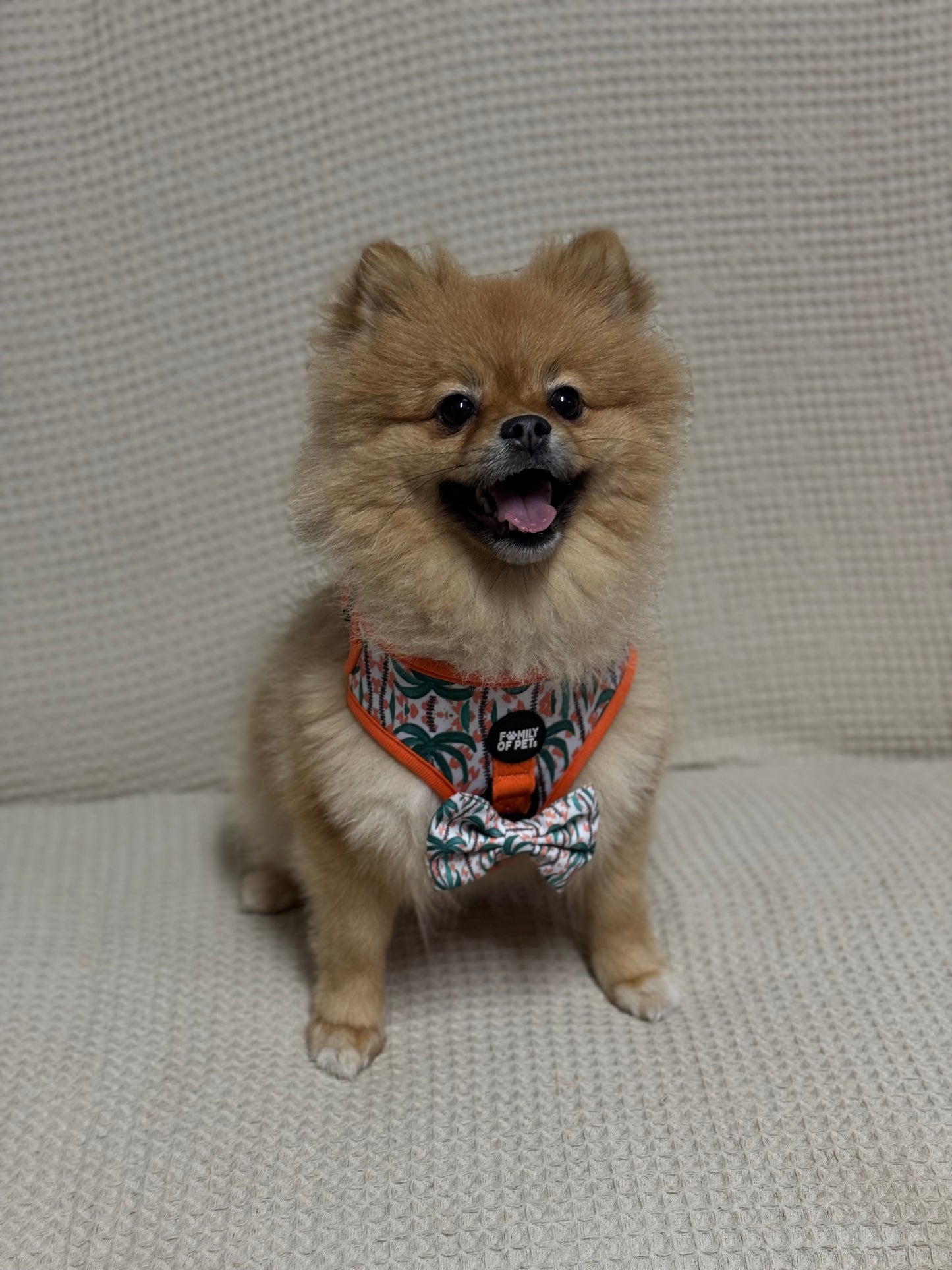 Hawaii Bow tie