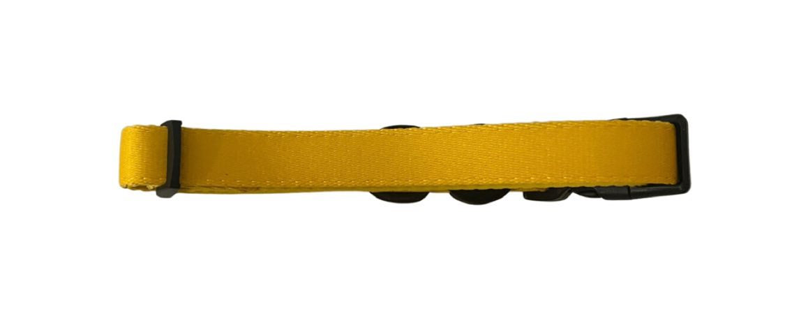 Neon Yellow: Adjustable Collar