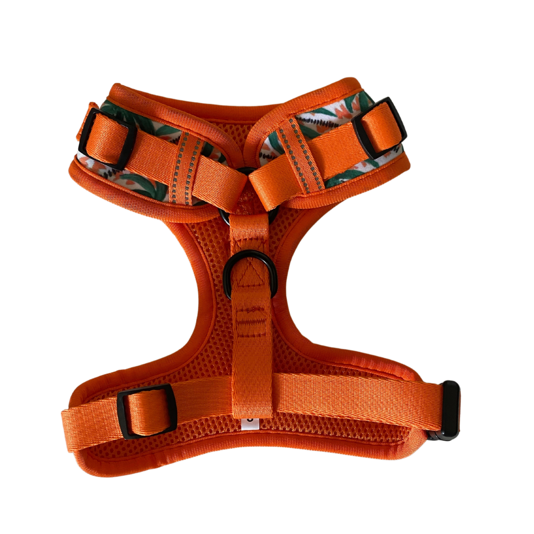 Hawaii: Adjustable Harness