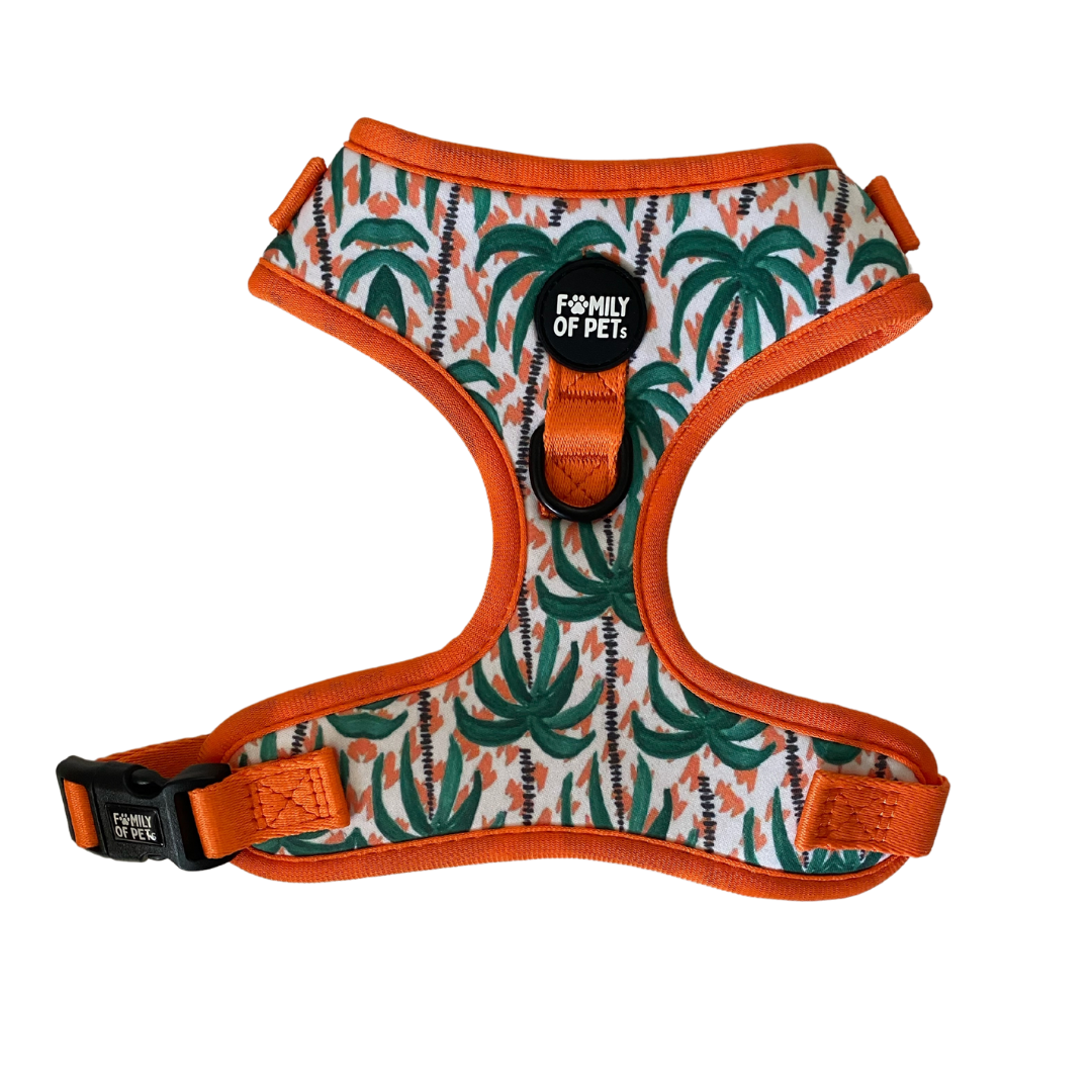 Hawaii: Adjustable Harness