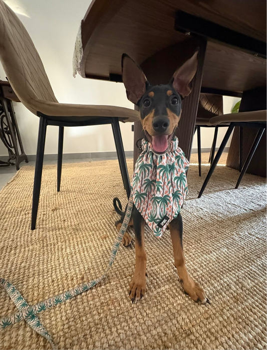 Hawaii Bandana