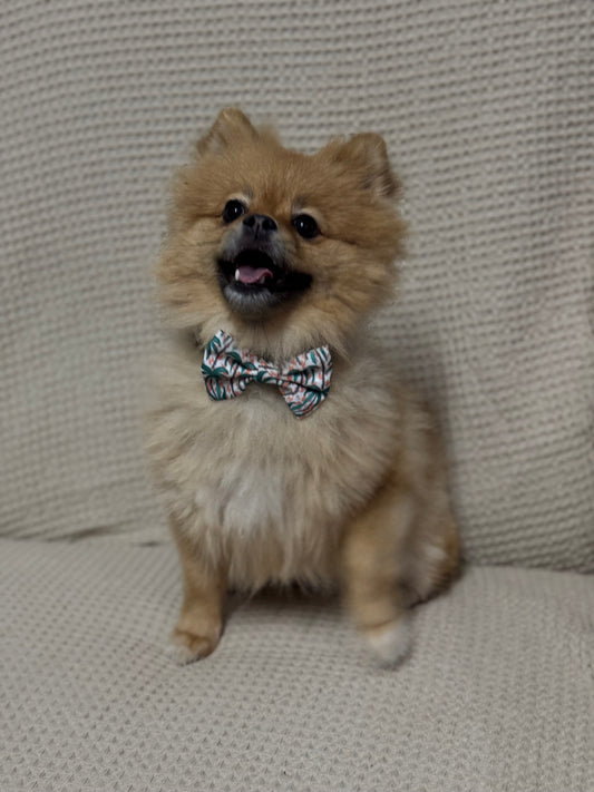Hawaii Bow tie