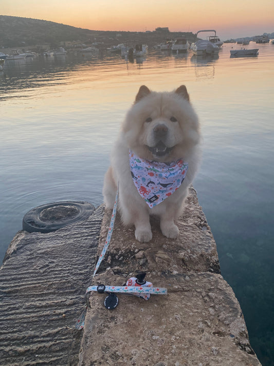 Under the sea Bandana