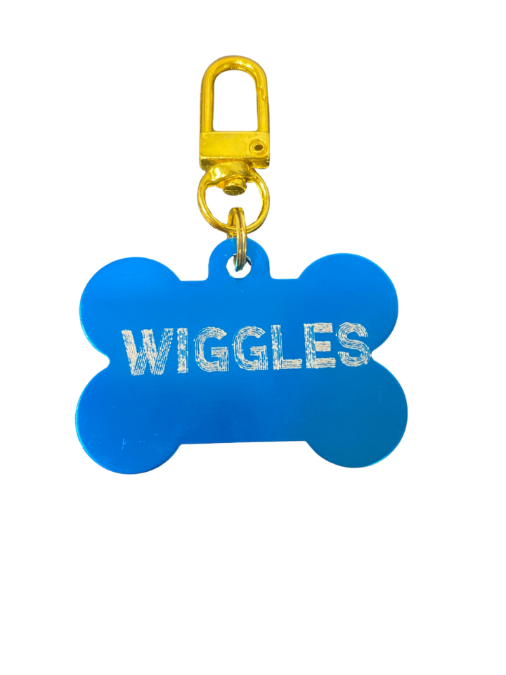 Metal Bone-Shaped Keychain