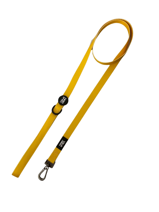 Neon Yellow Leash